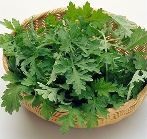 Bí quyết trị sẹo lồi do mụn trứng cá
